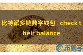 比特派多链数字钱包 check their balance
