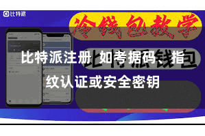 比特派注册 如考据码、指纹认证或安全密钥
