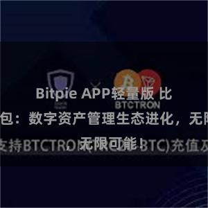 Bitpie APP轻量版 比特派钱包：数字资产管理生态进化，无限可能！