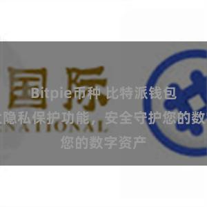 Bitpie币种 比特派钱包：强大隐私保护功能，安全守护您的数字资产