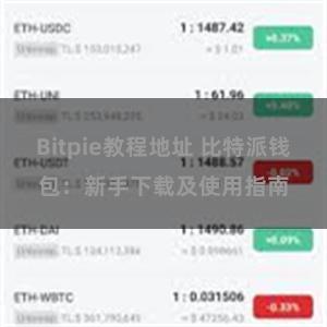 Bitpie教程地址 比特派钱包：新手下载及使用指南