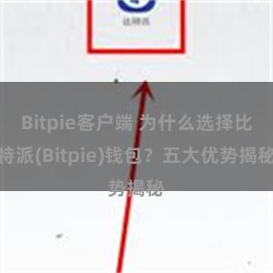 Bitpie客户端 为什么选择比特派(Bitpie)钱包？五大优势揭秘