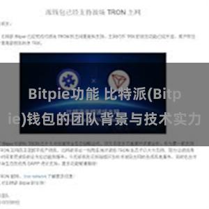 Bitpie功能 比特派(Bitpie)钱包的团队背景与技术实力