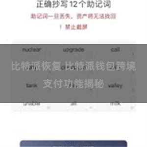 比特派恢复 比特派钱包跨境支付功能揭秘