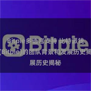 Bitpie多语言支持 比特派钱包(Bitpie)的团队背景和发展历史揭秘