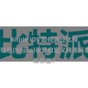 Bitpie iOS 如何通过比特派钱包(Bitpie)设置自定义转账标签？