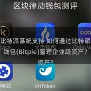 比特派系统支持 如何通过比特派钱包(Bitpie)管理企业级资产？