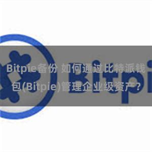 Bitpie备份 如何通过比特派钱包(Bitpie)管理企业级资产？