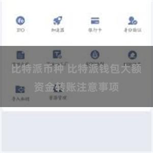 比特派币种 比特派钱包大额资金转账注意事项