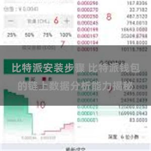 比特派安装步骤 比特派钱包的链上数据分析能力揭秘