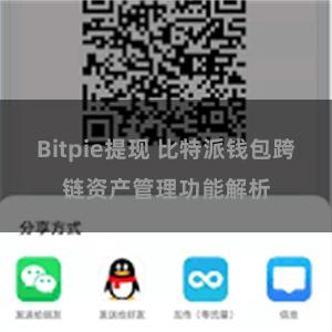 Bitpie提现 比特派钱包跨链资产管理功能解析