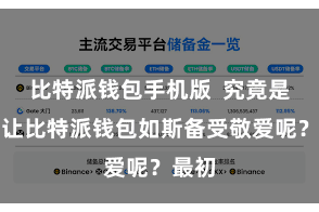 比特派钱包手机版  究竟是什么让比特派钱包如斯备受敬爱呢？最初
