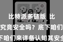比特派多链版  比特派钱包究竟安全吗？底下咱们来详备认知其安全性能