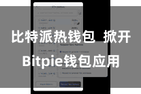 比特派热钱包  掀开Bitpie钱包应用