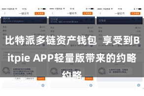 比特派多链资产钱包  享受到Bitpie APP轻量版带来的约略