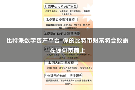 比特派数字资产平台  你的比特币财富将会败露在钱包页面上