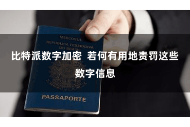 比特派数字加密  若何有用地责罚这些数字信息